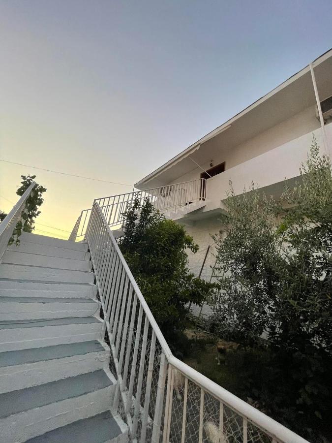 Villa Oasis Berat Exterior foto